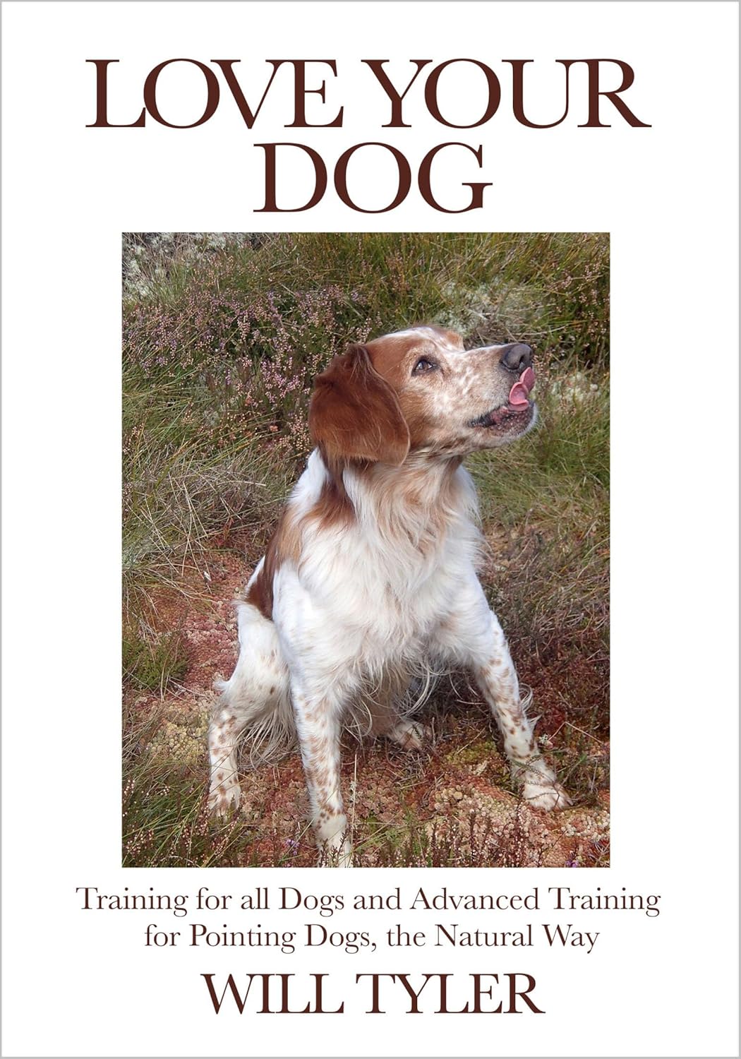 Love Your Dog