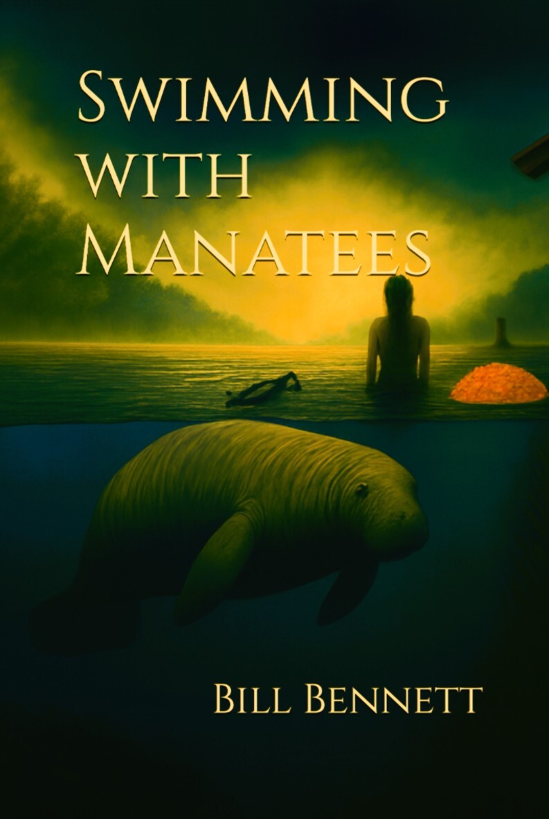 Swimming with Manatees