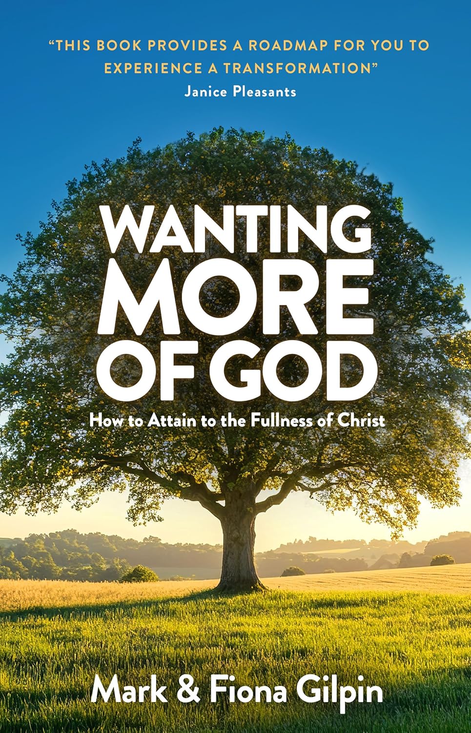 Wanting More of God by Mark & Fiona Gilpin