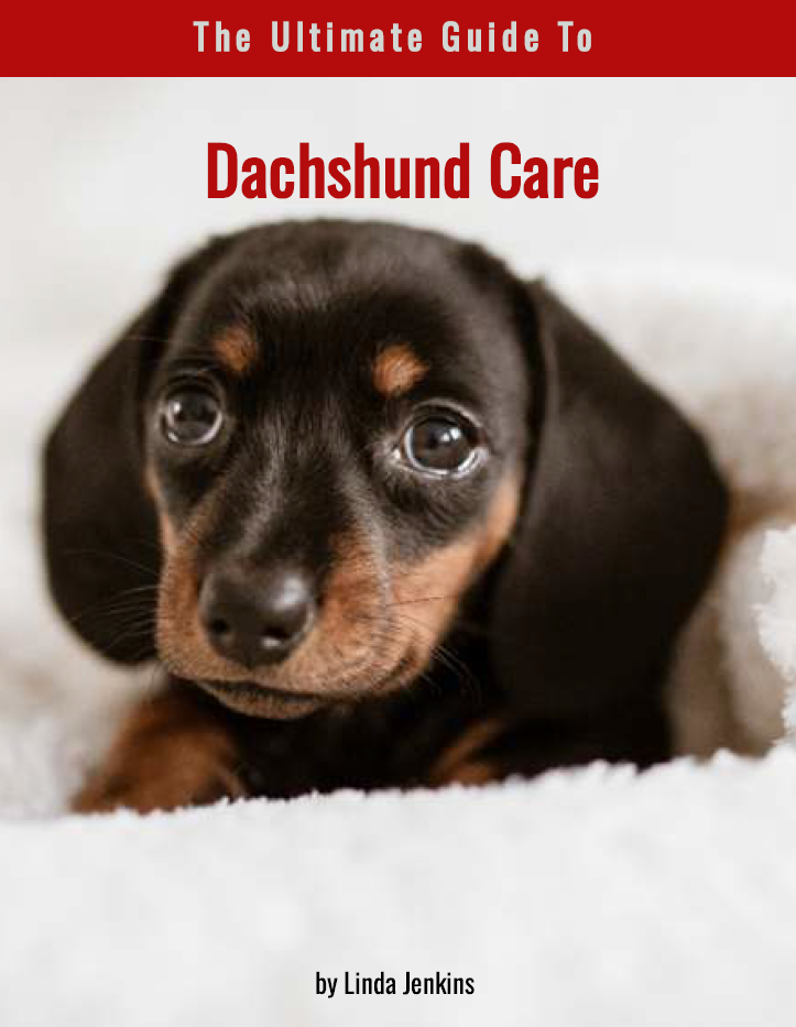 The Ultimate Guide to Dachshund Care by Linda Jenkins