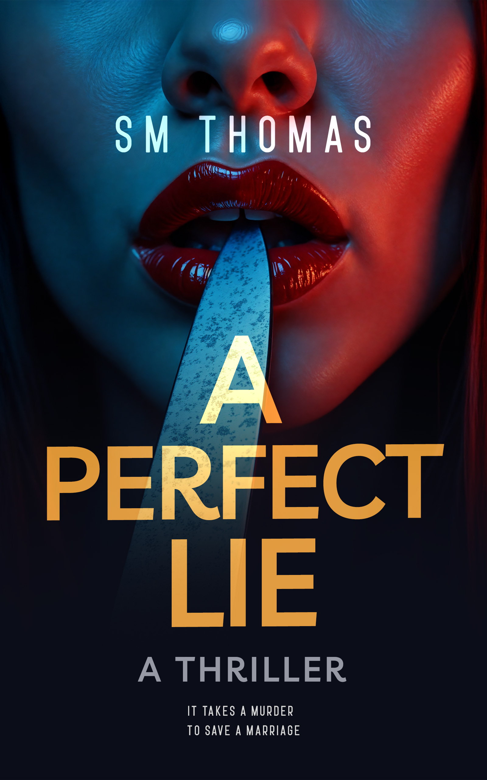 A Perfect Lie - A Domestic Thriller by SM Thomas